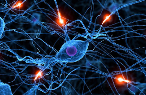 Complessità e reti neurali