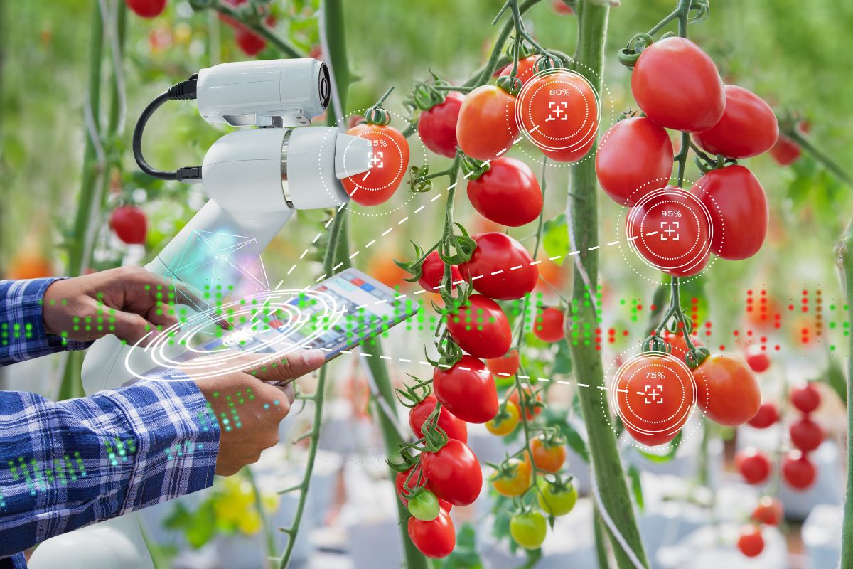 Tecnologia agricola - intelligenza artificiale