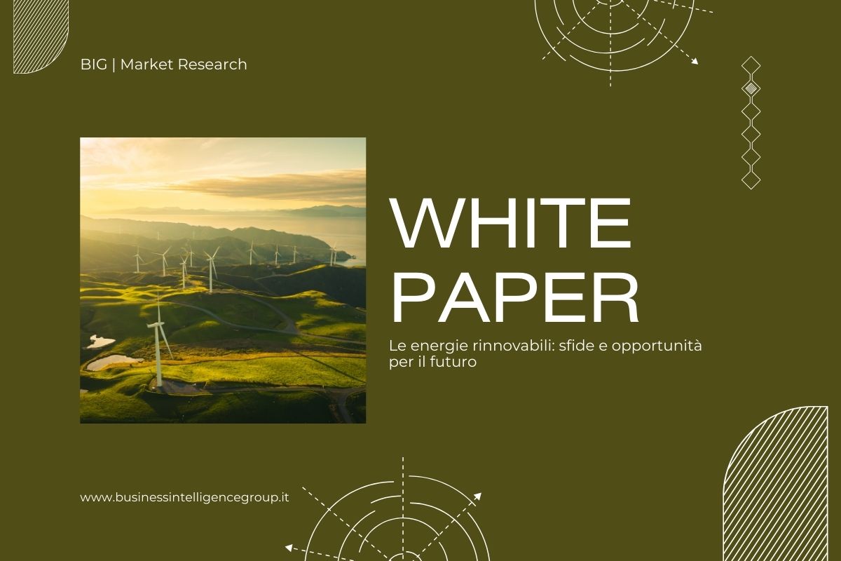 Cos'è un White Paper esempio energie rinnovabili