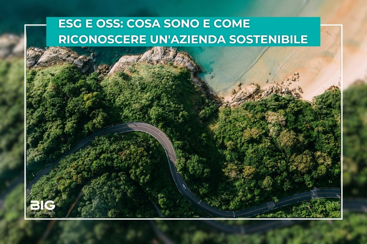 esg e oss cosa sono e come ottenere la certificazione